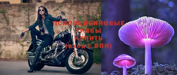 круглые Аркадак